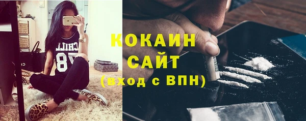 ПСИЛОЦИБИНОВЫЕ ГРИБЫ Осинники