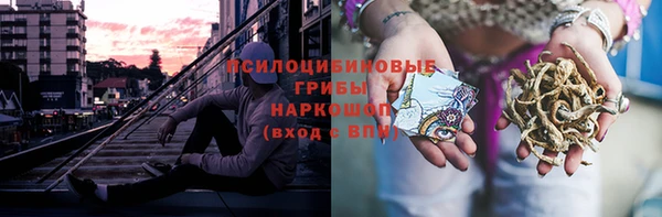 прущие грибы Остров