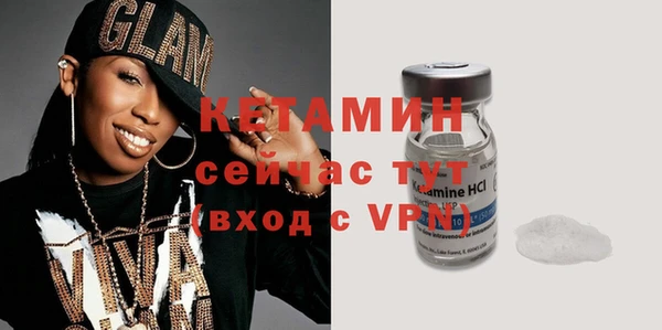 гашик Няндома
