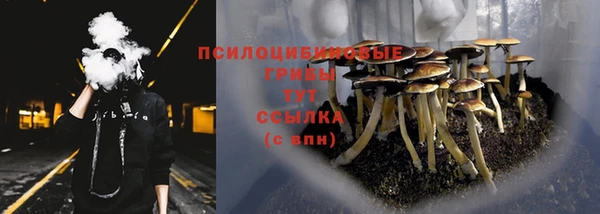 индика Осташков
