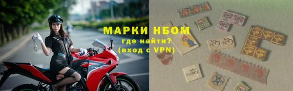 индика Осташков