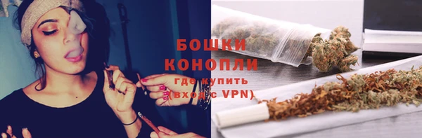 гашик Няндома