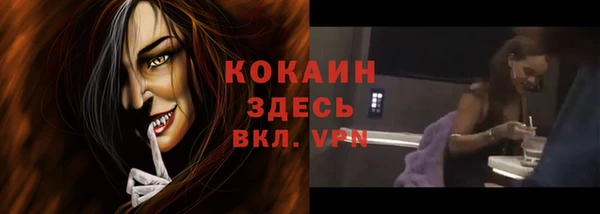 гашик Няндома