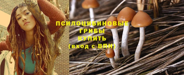ПСИЛОЦИБИНОВЫЕ ГРИБЫ Осинники