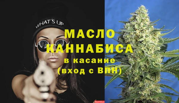 индика Осташков