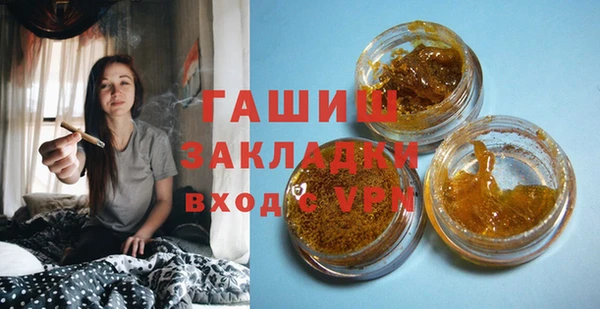 индика Осташков