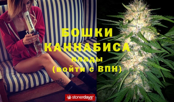 гашик Няндома