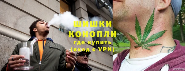 ПСИЛОЦИБИНОВЫЕ ГРИБЫ Осинники