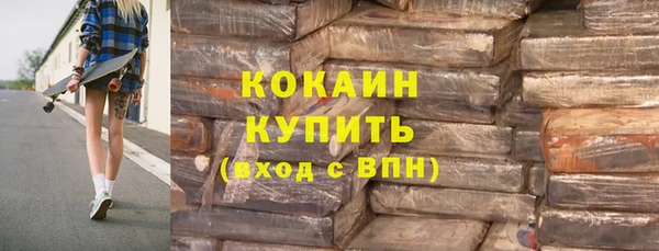 индика Осташков