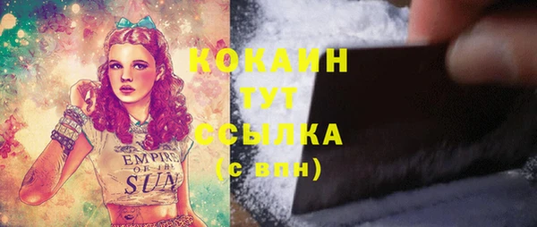 индика Осташков
